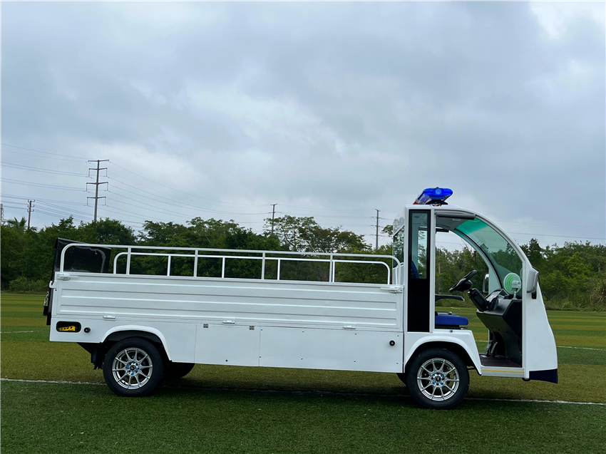 单排物流巡逻车